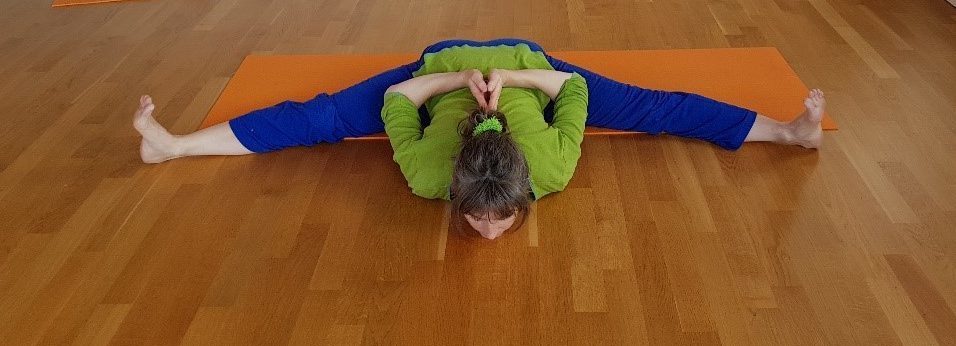 hathayoga
