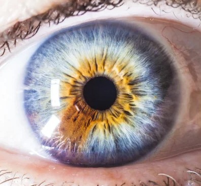 depositphotos_37989073-stock-photo-macro-human-eye-multicolored